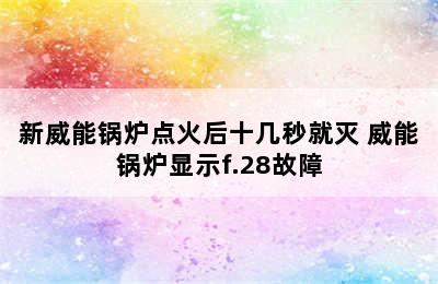 新威能锅炉点火后十几秒就灭 威能锅炉显示f.28故障